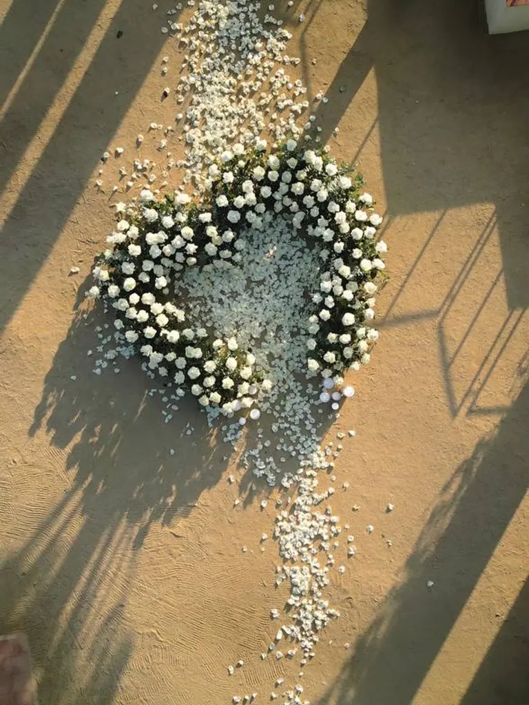 Marimurtra Botanical Garden proposal setup in Blanes, view 7