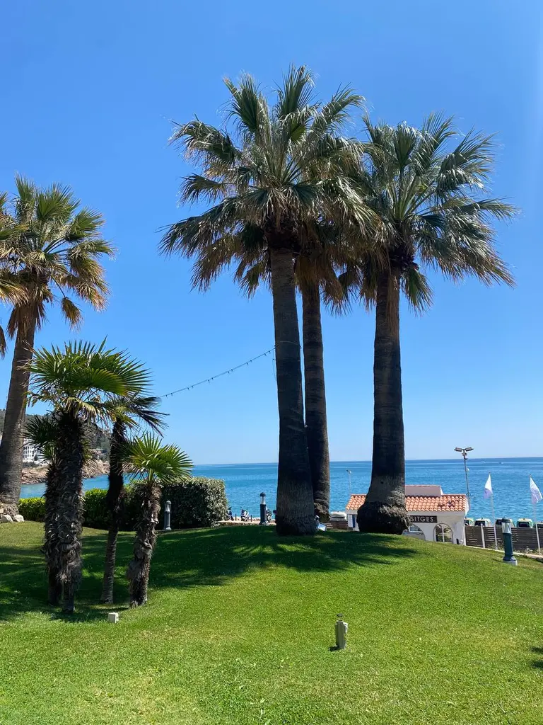 Hotel Estela Sitges marriage proposal setup view 1