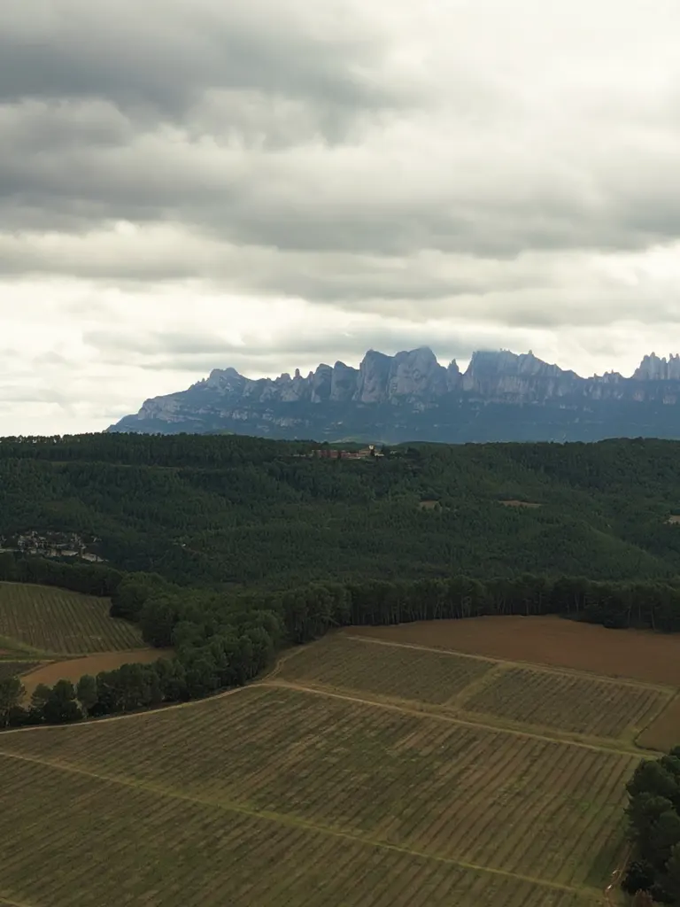 Montserrat marriage proposal setup view 7 overlooking the mountain massif