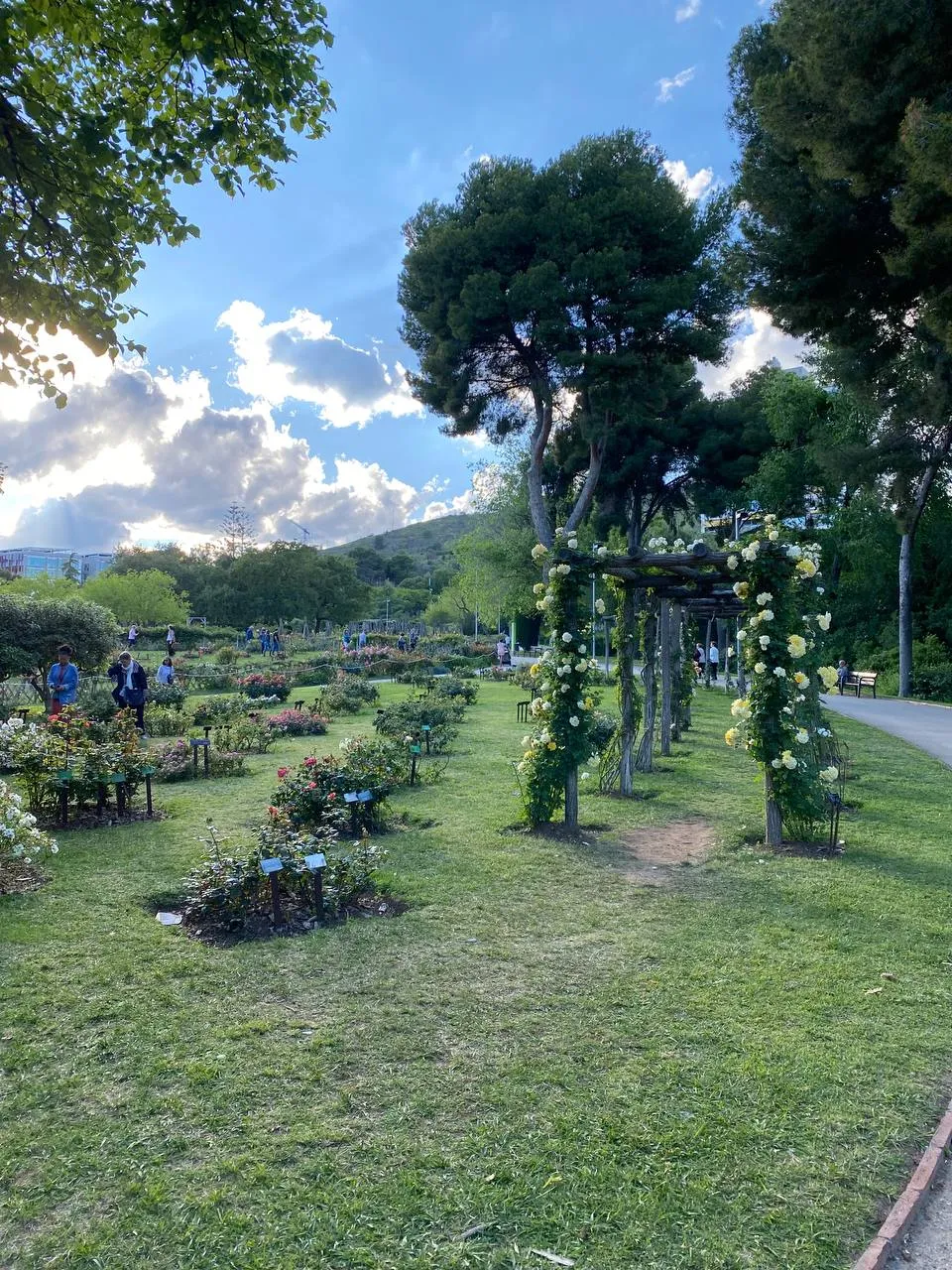 Parc de Cervantes marriage proposal setup view 1 in Barcelona